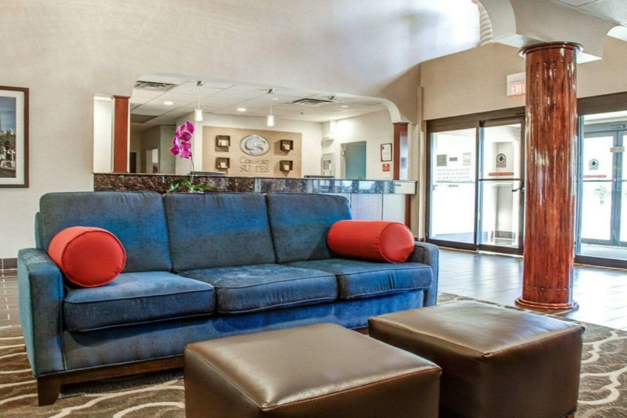 Comfort Suites Lombard - Addison Esterno foto